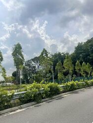Ponggol Twenty-fourth Avenue (D19), Semi-Detached #559351591